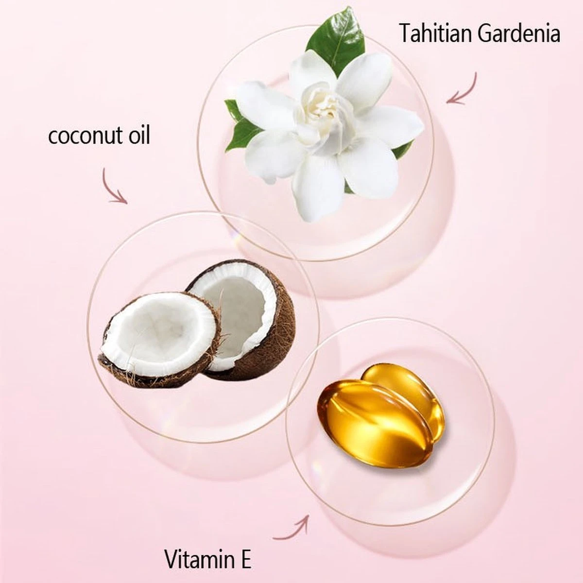 Palm Brow Styling Soap - 100% Vegan - Wenkbrauw Styling Zeep - Wenkbrauwgel Met Langdurig Effect – Veilig En Natuurlijk – Brow Shaping - Wenkbrauw Soap - Afbeelding 8