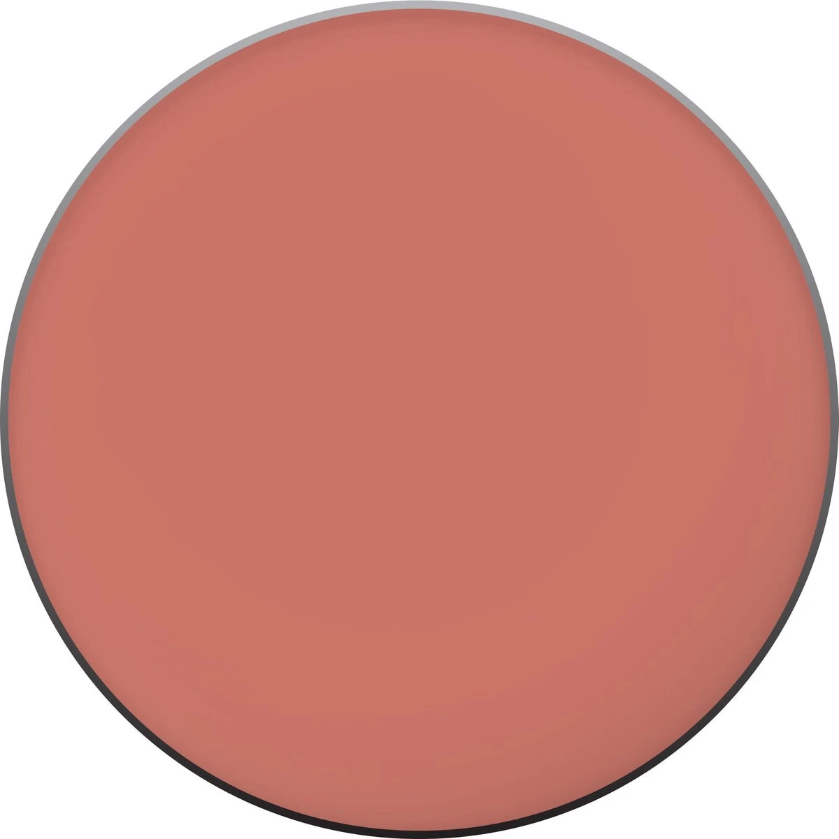 L'Oréal Paris True Match Blush - 145 Bois De Rose - Afbeelding 20
