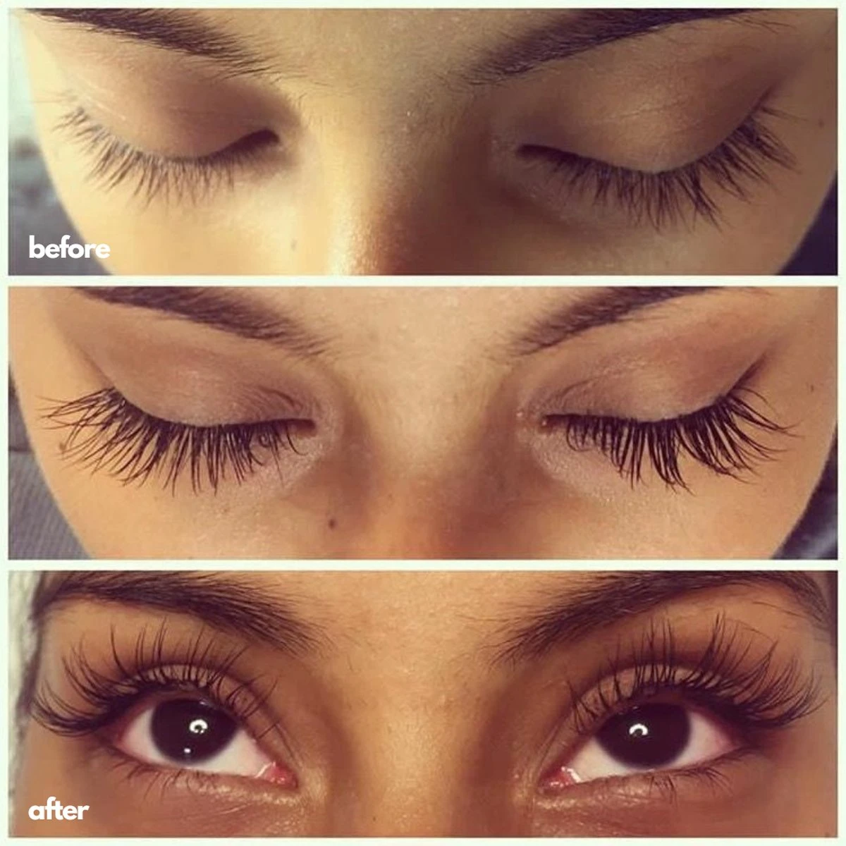 NATURA LASHES - WIMPERSERUM - LASH SERUM - EYELASH GROWTH SERUM - ECHTE RESULTATEN - TOT 55% LANGER EN 75% VOLUMINEUZER OGENDE WIMPERS - Afbeelding 2