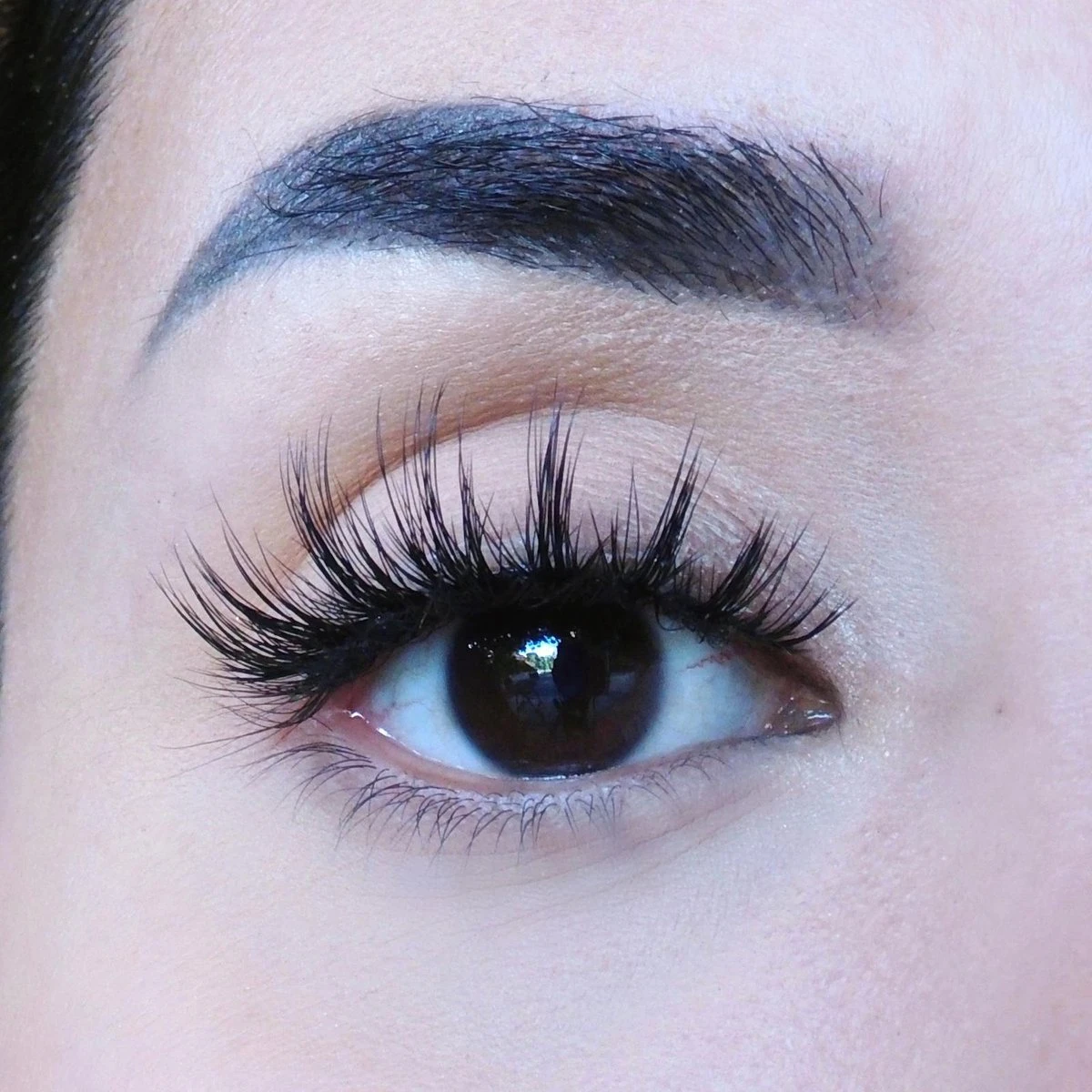 Gilded Butterfly - Nepwimpers - Fake Lashes - Onyx - Afbeelding 5