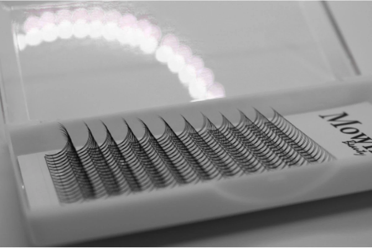 Mowny Beauty - Wimperextensions - 3D Premade Fans - Mix Tray 0,10mm D-krul - Natuurlijke Wimperextensions - Russisch Volume - Afbeelding 4