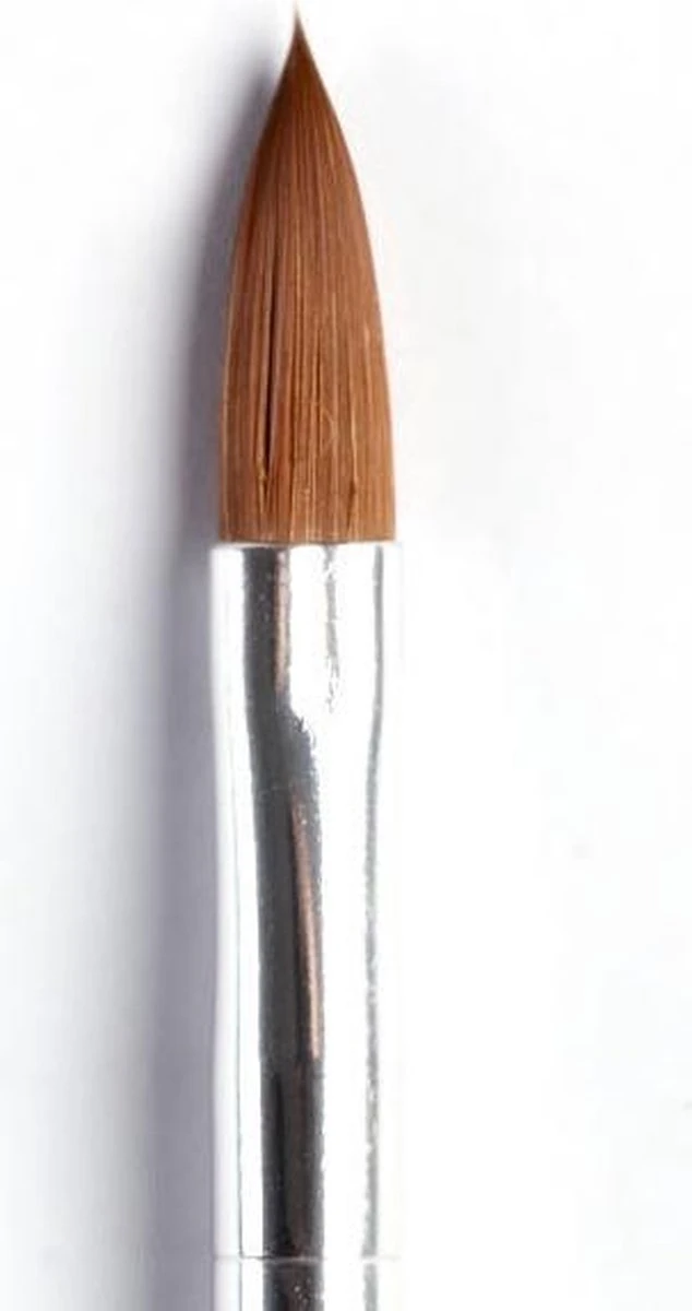 Merkloos Acryl Penselen (5 Kleuren) - Afbeelding 3